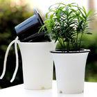 Pots intelligents d'ISO9001 125mm Herb Monstera Self Watering Houseplant