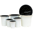 Pots intelligents d'ISO9001 125mm Herb Monstera Self Watering Houseplant