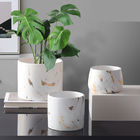 Petits pots de fleur en céramique blancs succulents d'intérieur nordiques de la tasse 9cm
