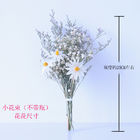 Fleur sèche par groupe blanc de souffle de bébés du décor 25cm de Tableau de mariage